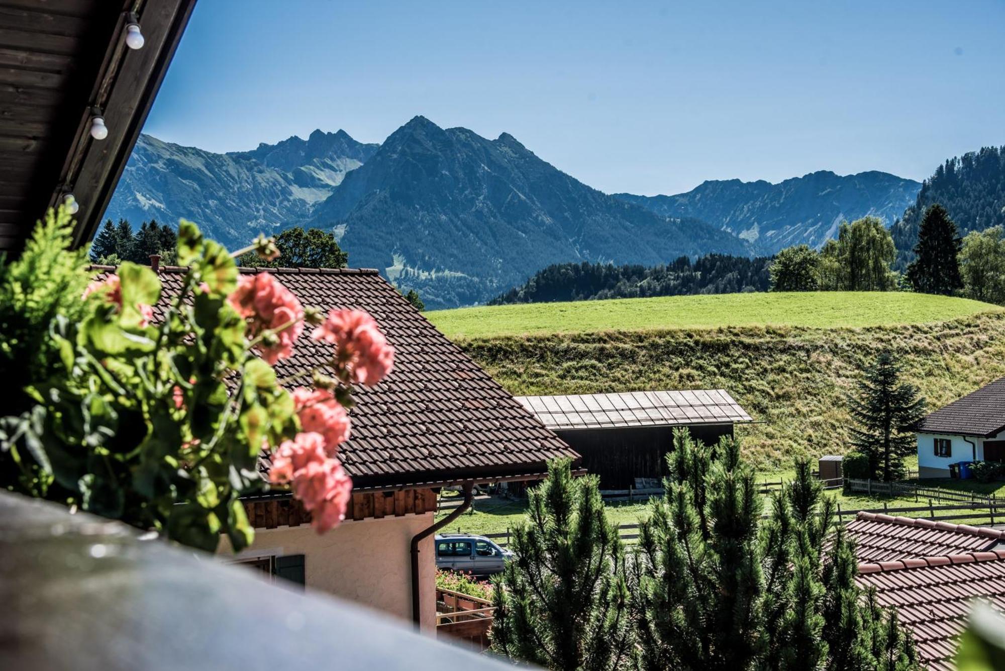 Haus Susanne - Top-Ferienwohnungen - Sommer-Bergbahn Inklusive オーバーマイゼルシュタイン エクステリア 写真