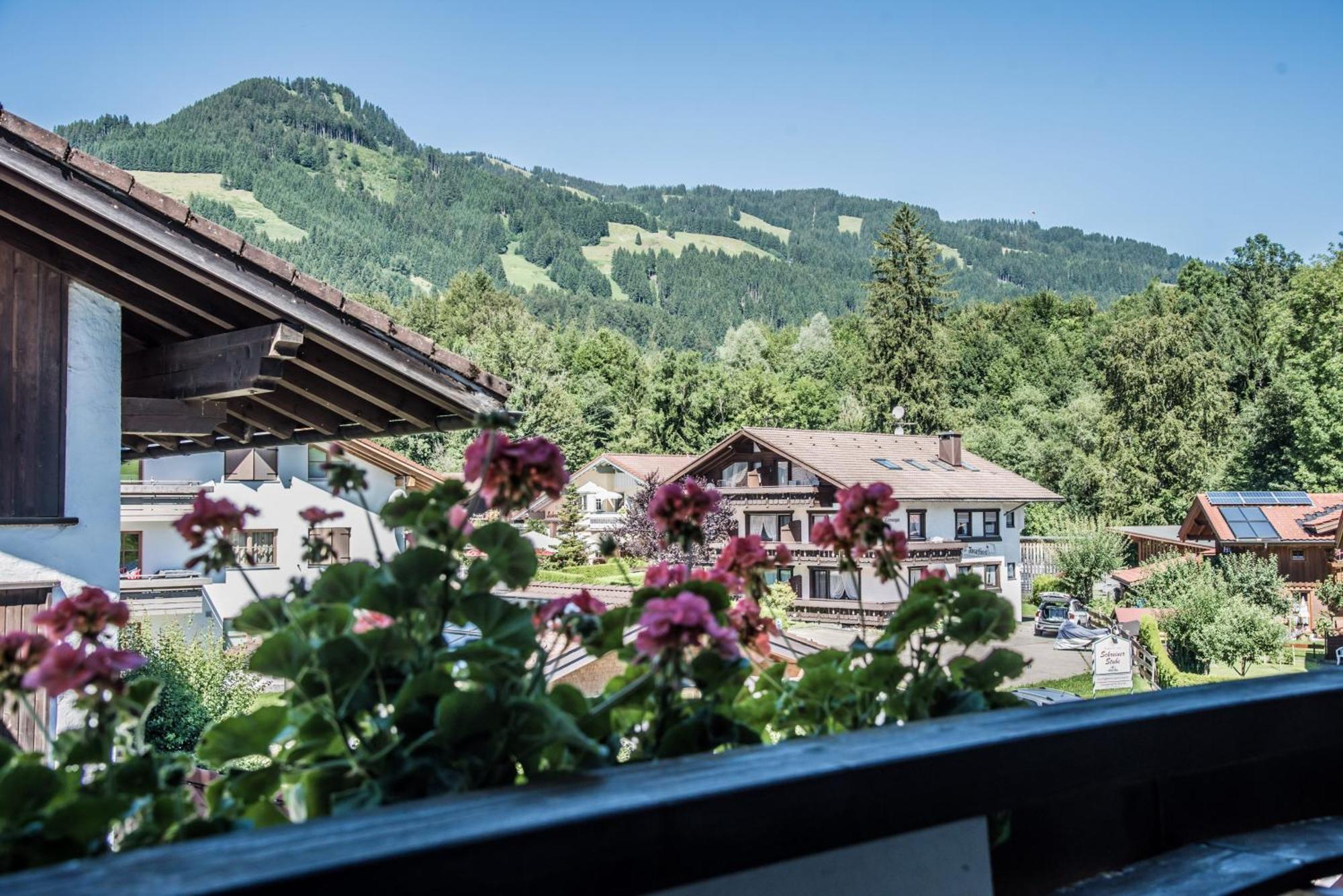 Haus Susanne - Top-Ferienwohnungen - Sommer-Bergbahn Inklusive オーバーマイゼルシュタイン エクステリア 写真