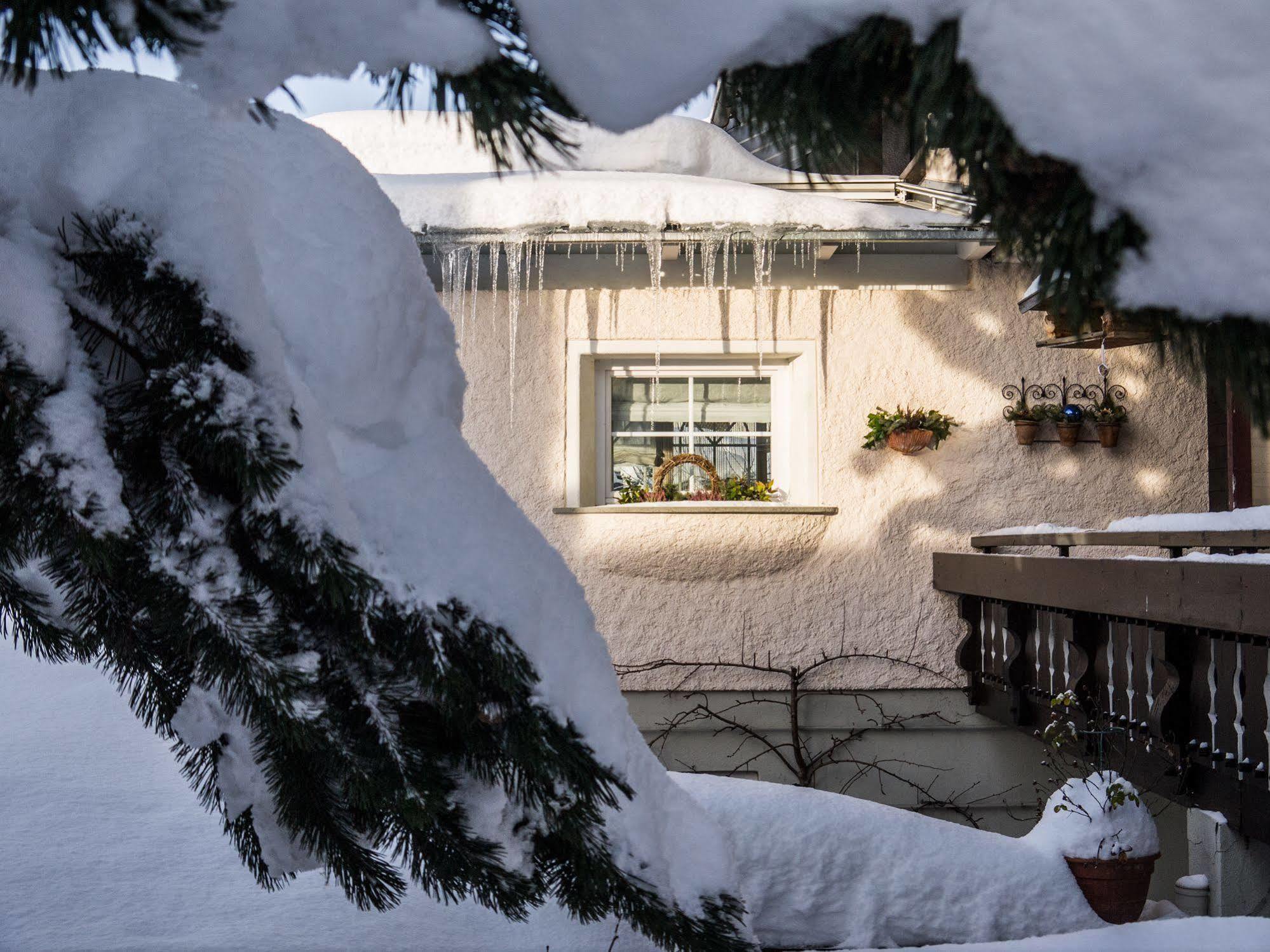 Haus Susanne - Top-Ferienwohnungen - Sommer-Bergbahn Inklusive オーバーマイゼルシュタイン エクステリア 写真