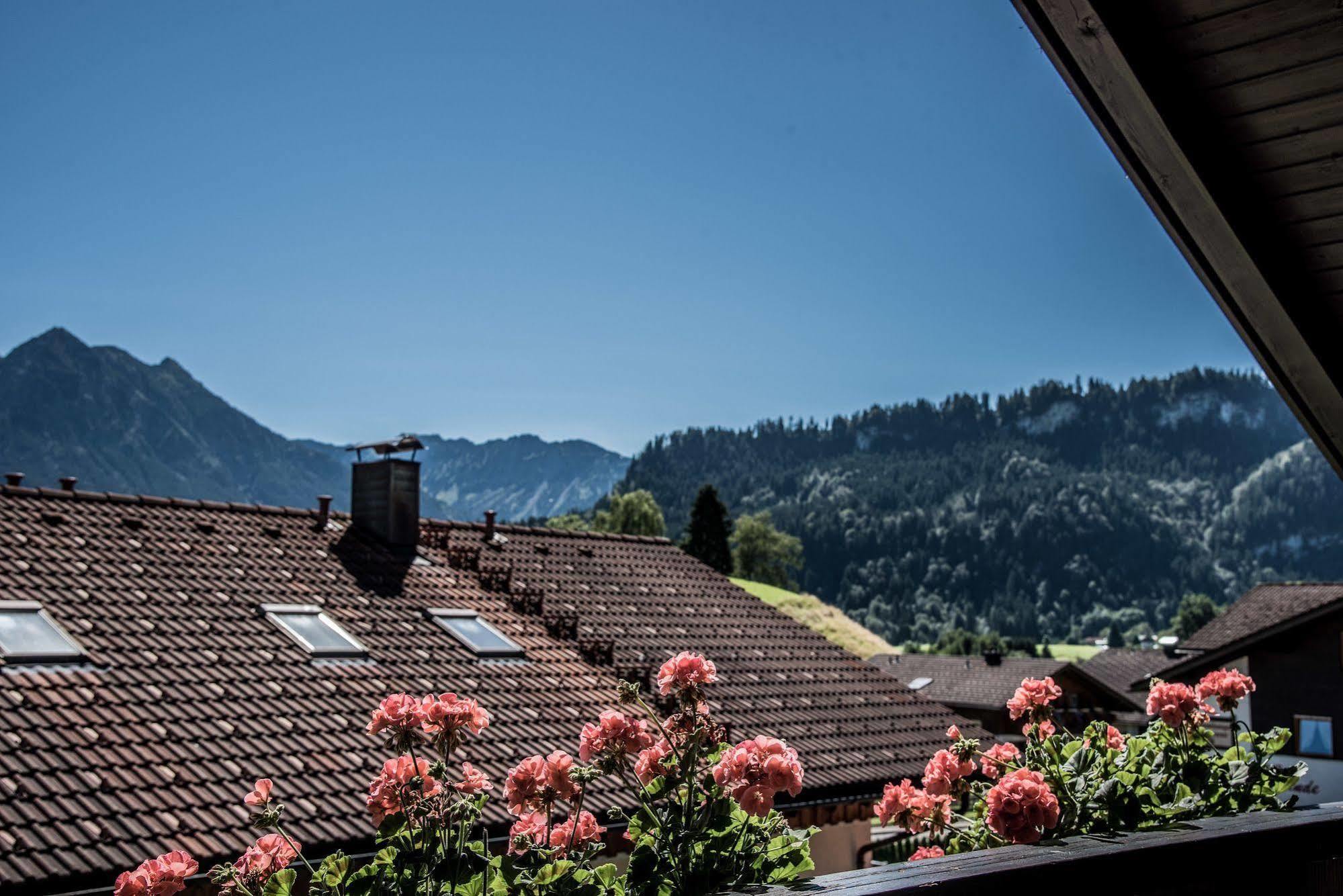 Haus Susanne - Top-Ferienwohnungen - Sommer-Bergbahn Inklusive オーバーマイゼルシュタイン エクステリア 写真